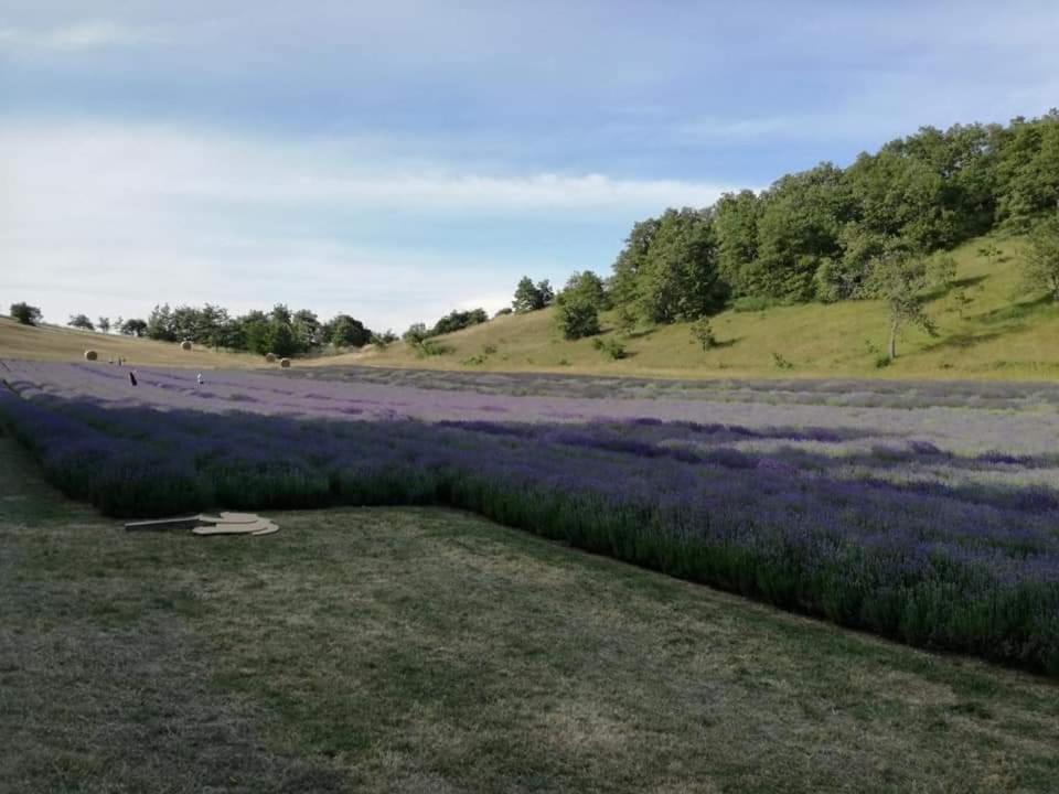B&B I Girasoli Monte San Pietro Zewnętrze zdjęcie